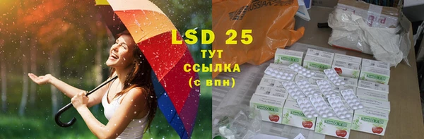 ПСИЛОЦИБИНОВЫЕ ГРИБЫ Баксан