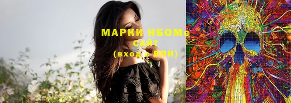 ПСИЛОЦИБИНОВЫЕ ГРИБЫ Баксан