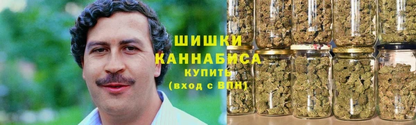ПСИЛОЦИБИНОВЫЕ ГРИБЫ Баксан