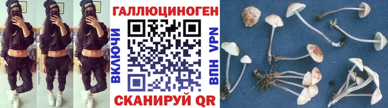Галлюциногенные грибы Psilocybe  Купить закладки  Усть-Лабинск 